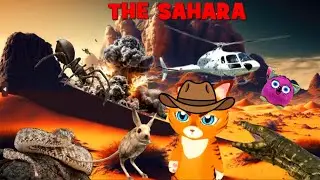 Desert Animals For Kids | The Sahara Desert | Animal Facts | Adventures With Whiskers