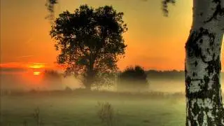 Jonas Steur - Castamara (Solis & Sean Truby Remix)