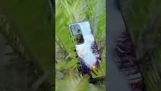 Founder&rsquo;s Pick 🔥 Best Custom Mobile Covers at lowest price