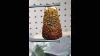 AVAILABLE @LEXXSTONES.COM! Gem Dinosaur Bone