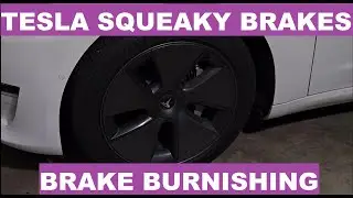 Tesla Model 3 Brake Burnishing (Squeaky Brakes) Service Mode