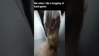 Me When I did a longplay of hard game