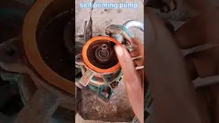 Motor step by step pump| #Shorts