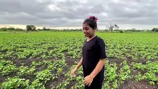 सोयाबीन चिल्ली खायला निघालो अन THAR गाडीवर हडळ बसली 🫢