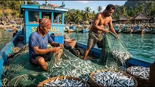 Wow! To day fishing village harvesting in sri lanka