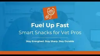 Fuel Up Fast: Smart Snacks for Vet Pros