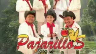 Pajarillos Musical-  Tus Maldades
