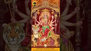 🌟🌺 Experience the Divine Grace of Durga Maa 🌺