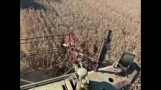 Claas Columbus