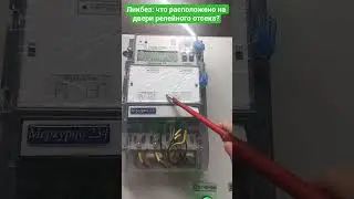 Ликбез. Что установлено на двери релейного отсека? #релейнаязащита #рзиа #энергетика #курсыпорзиа