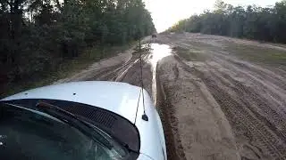 Ocala national forest at sunset