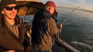 Sturgeon Fishing Delta CA 2022