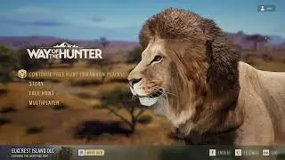 GOG Galaxy 2 Linux install