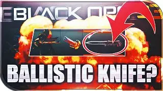 BO3 