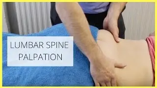 LUMBAR SPINE PALPATION