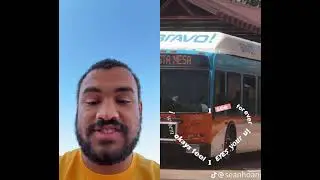 Dandelions Template TikTok Duet 11/19/2025
