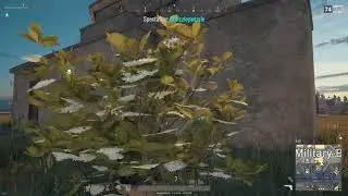 PLAYERUNKNOWN'S BATTLEGROUNDS 2017 11 21   03 25 03 21   Kthizz is a Bush