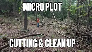 Hidey Hole Food Plot Days 3-5 - It's A Field Now!
