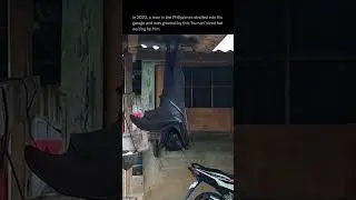 Man Finds Human Sized Bat In His Garage
