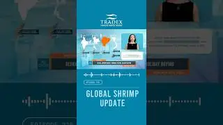 3MMI - GLOBAL SHRIMP MARKET UPDATE 🍤🦐 #seafoodindustry #seafood #shrimp #commercialfishing