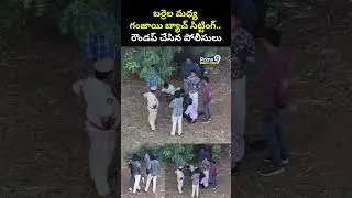 బర్రెల మధ్య గంజాయి బ్యాచ్ సిట్టింగ్.. రౌండ్ అప్ చేసిన పోలీసులు | Eluru Police Viral Video | Prime9