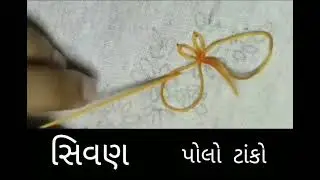 polo tako