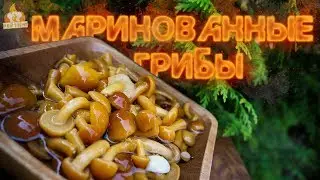Рейтинг: Маринованные грибы (Опята)