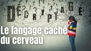 D&Eacute;CRYPTAGE de ce qu&rsquo;on ne voit pas #psychologie #comportementhumain #soci&eacute;t&eacute; #r&eacute;flexion #d&eacute;cryptage
