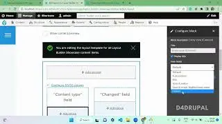 Модуль Ctools для отображения режима просмотра сущностей в конструкторе макетов Drupal 9 | D4Drupal