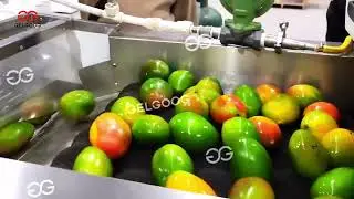 Mango Washing, Waxing and Grading Production Line