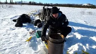 Dallas Seavey running lean, running strong