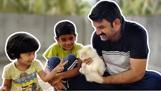 പൂച്ച എല്ലാവരുമായി ഇണങ്ങി  തുടങ്ങി 🐈🐈🐈 | Ebadu rahman Cat