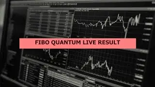 Fibo Quantum Demo Result - Is It Really Worth It?