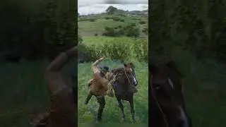 Arthur Hunts a Beaver in RDR2 🦫 | Hunting & Skinning #Shorts