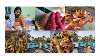 এই প্রথম বার মাছের কাঁটা দিয়ে সবজী রান্না করলাম।।সাথে মিষ্টি আলু দারুণ সুন্দর খেতে হয়েছিল