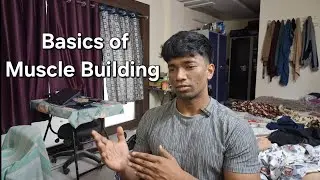 Basics of building muscle.(Hypertrophy, Muscle fibres?)