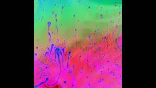Trippy - Al Rationale
