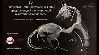 Чемпионат Чистокровной Ахалтекинской породы лошадей 2020