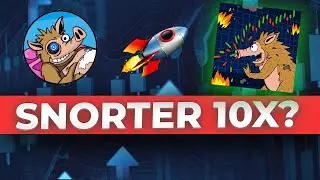 Snorter PRESALE Kaufen? (TUTORIAL) Snorter Coin DEUTSCH