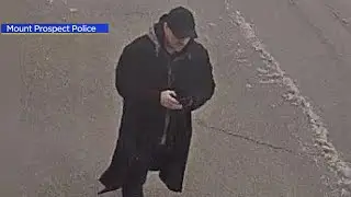 Police search for man who followed teen girl from Walmart in Mount Prospect