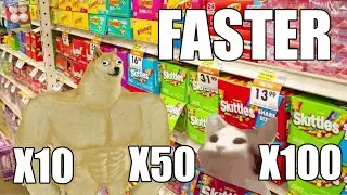 Pop Cat vs Buff dog skittles faster