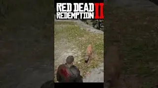 Седло пантеры в Red Dead Redemption 2 #rdrgameplay #rdr2 #gaming