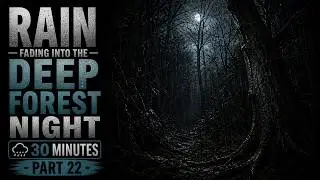 Rain Fading Into the Deep Forest Night  Part 22