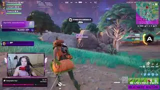 Creative, Squads, Customs? What Should We Do?