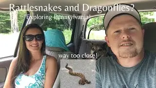 Rattlesnakes and Dragonflies? Exploring Pennsylvania's state lands pt.2