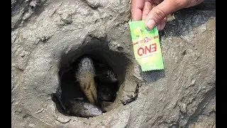 Hole Fishing Catch A Lot Of Fish Using Eno | Amazing fishing Technology ENO FISHING