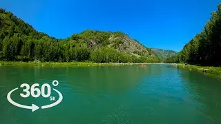 Дикая природа - 360&deg; VR Видео - Видеопанорама - Природа - Алтай