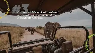 National Wildlife Day 2020