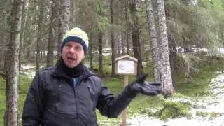 Dyrhaugen - en annerledes husmannsplass
