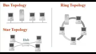 Computer Network Topology | Network Topology Types (Bus, Star, Ring)